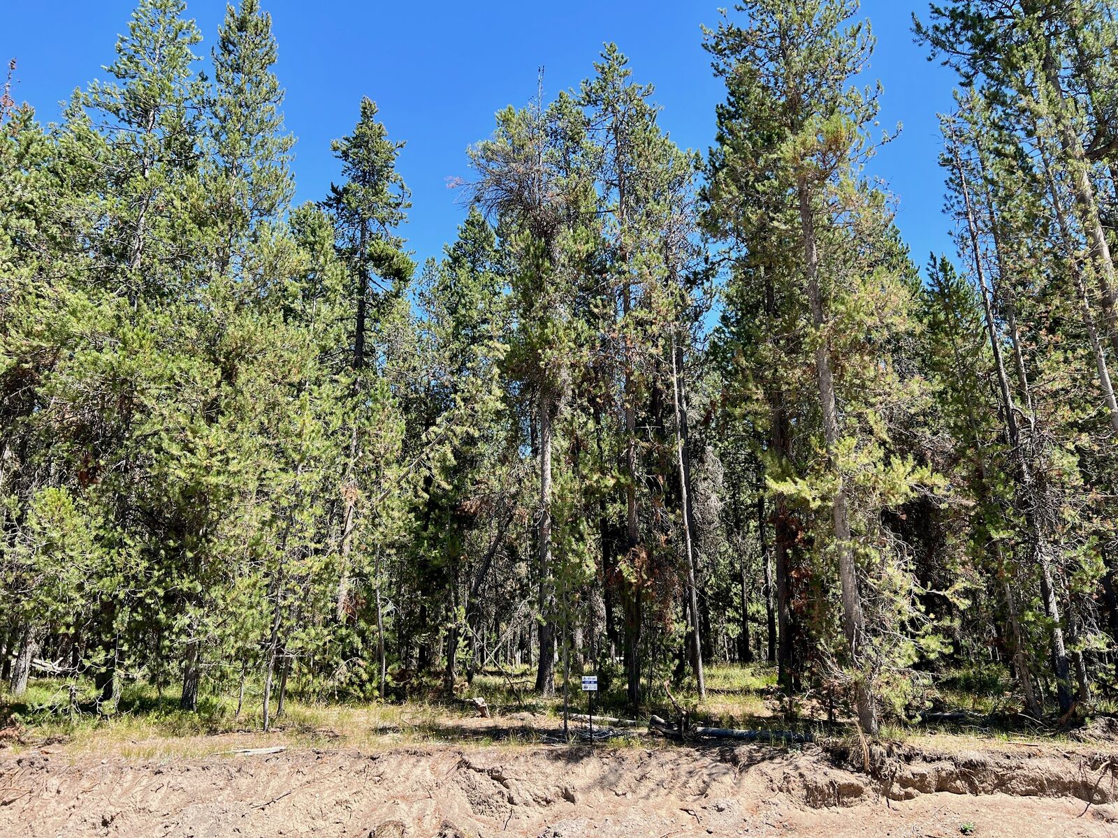 4370 Yeti Ln ISLAND PARK, ID 83429