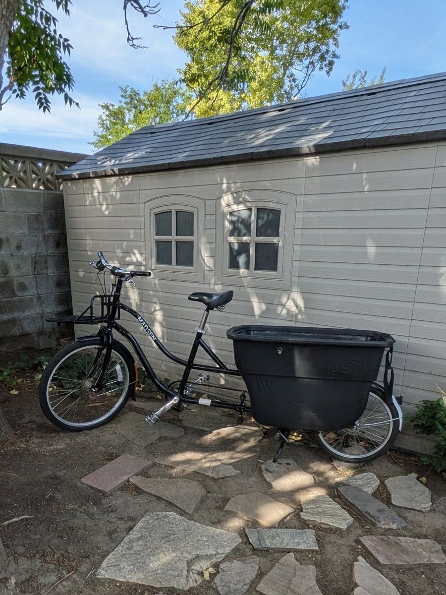 Madsen Cargo Bike Black Front Bucket with Seating and Harness