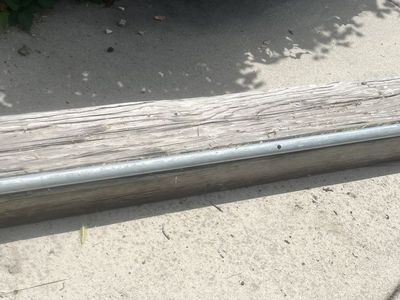Skate Rail FREE!