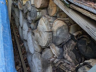 Fire Wood
