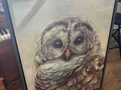 Owl Canvas Painting, Snow Owl