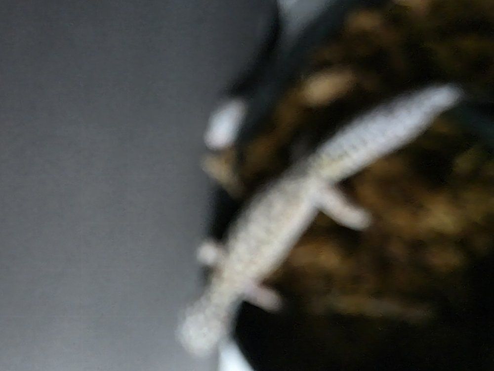 Main image 5