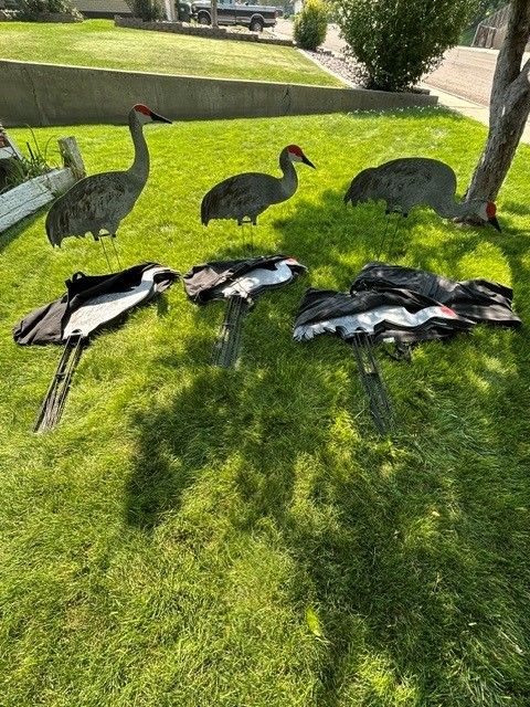 Sandhill Crane Decs / Sillhouettes. Dive Bomb