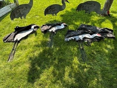 Sandhill Crane Decs / Sillhouettes. Dive Bomb
