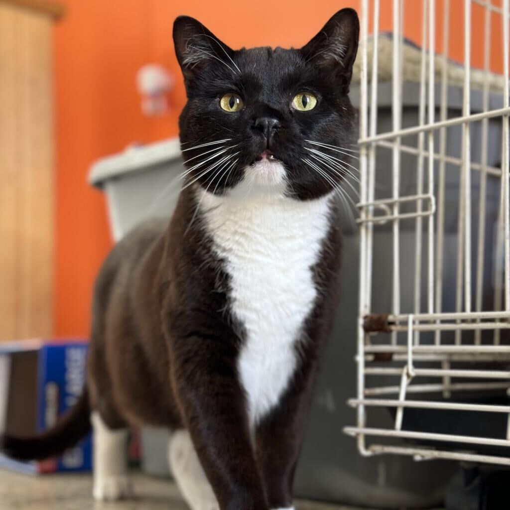 Hello my name is Aaron