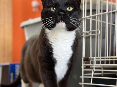 Hello my name is Aaron