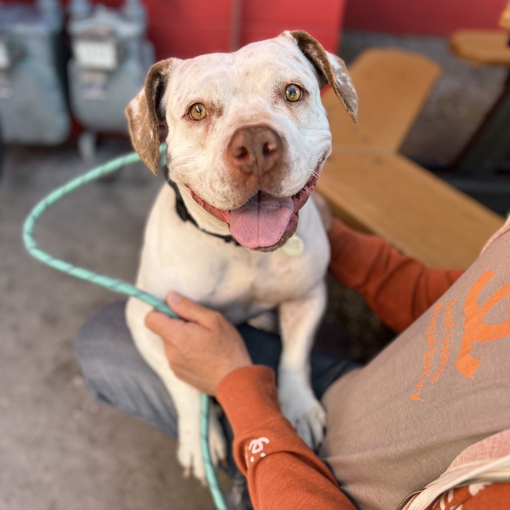 Hello my name is Summer Girl