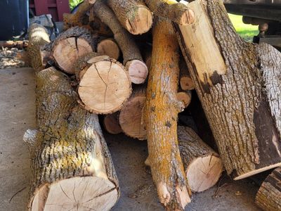 hobby wood/firewood