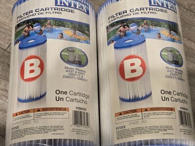 Intex Pool Filter Cartridges