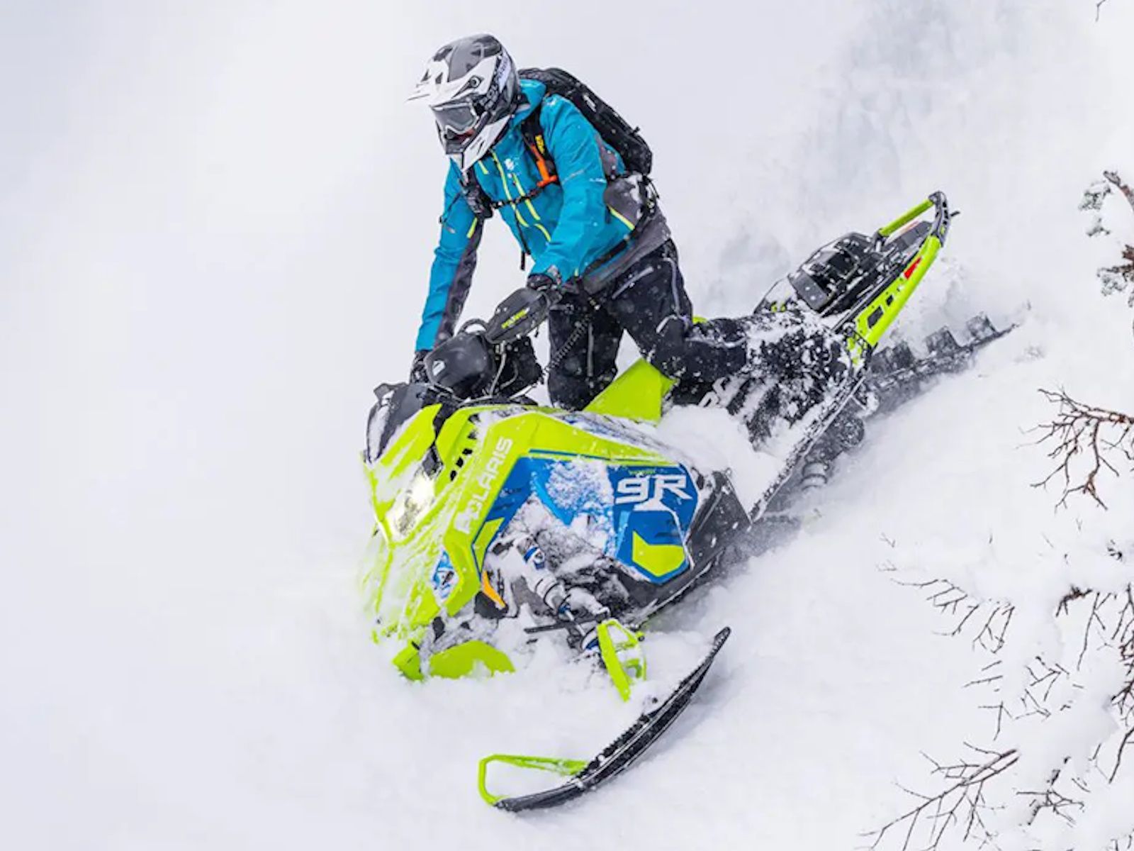 Main image 6