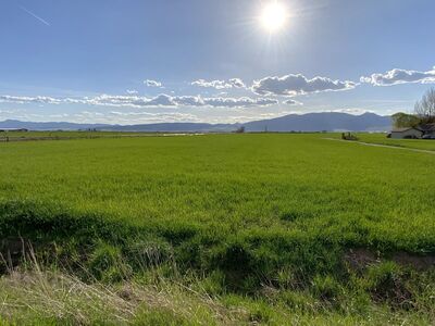 PREMIUM 6-ACRE HOMESITE WITH WATER RIGHTS