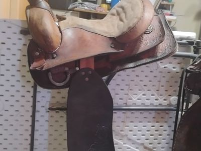 15 in western saddle