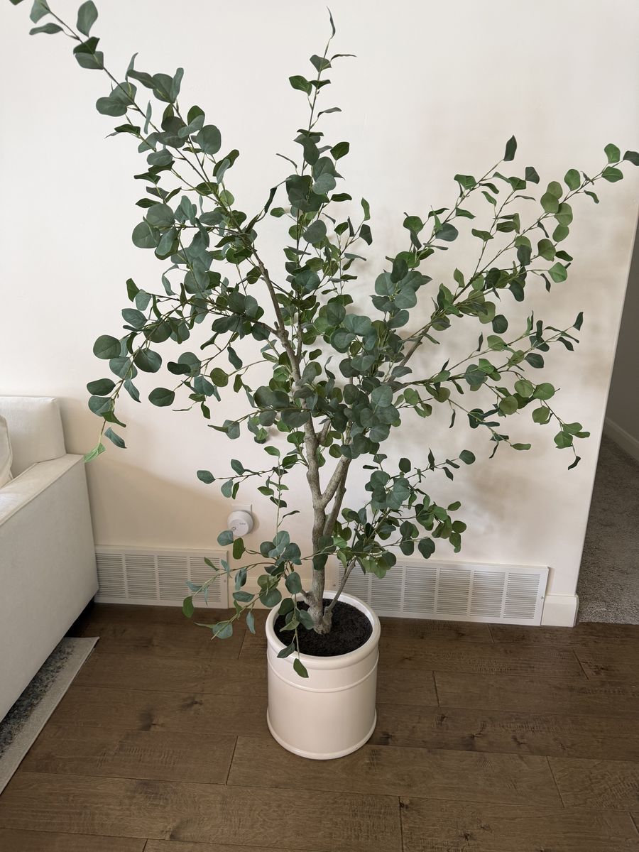 6' Faux Silver Dollar Eucalyptus Tree