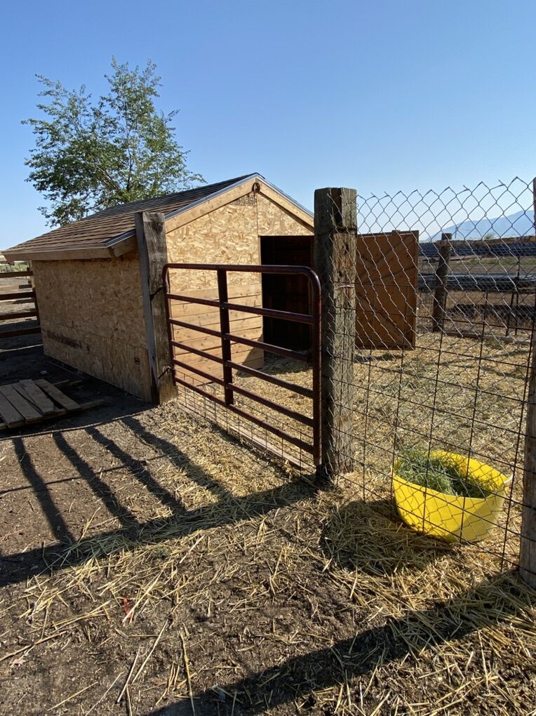 Two Animal Pens For Rent
