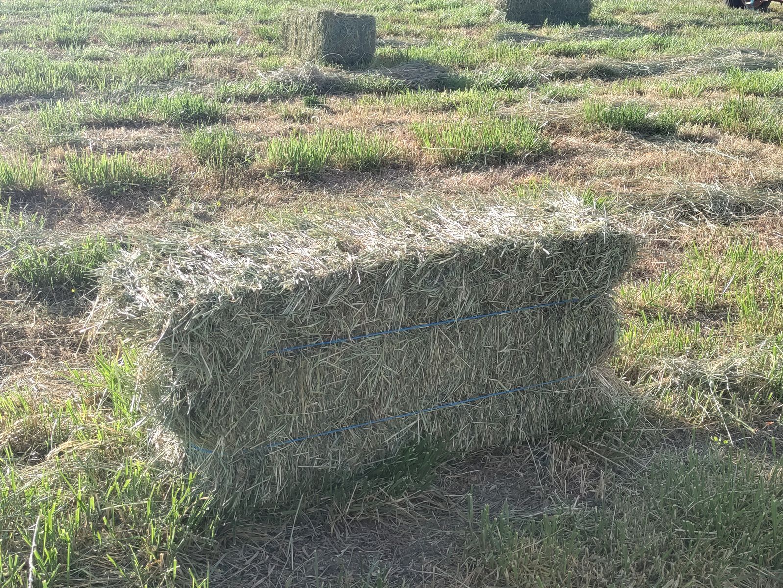 Main image 2
