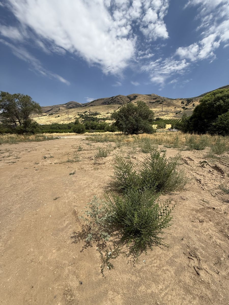 Main image 6