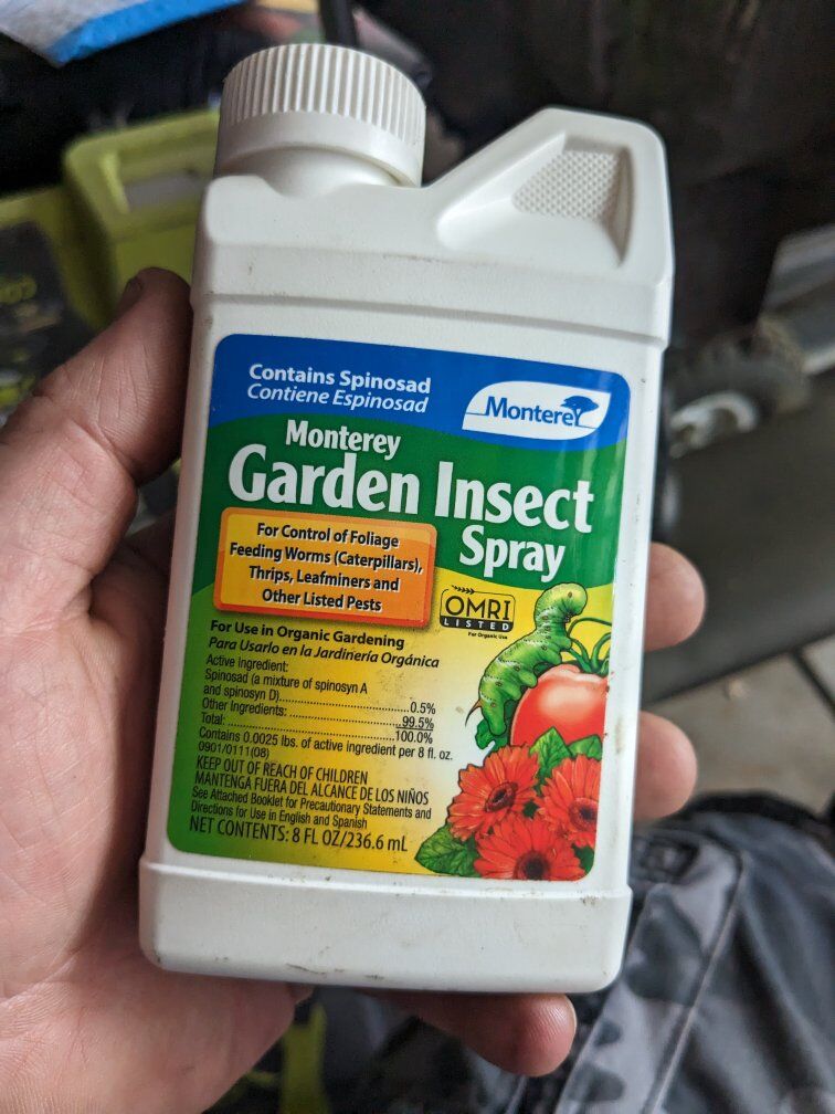 Caterpillar insecticide garden tomato worm plants