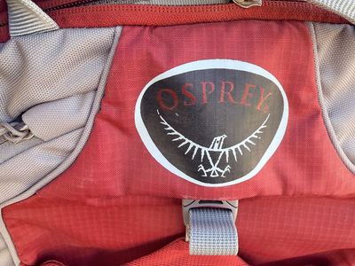 Hiking baby carrier