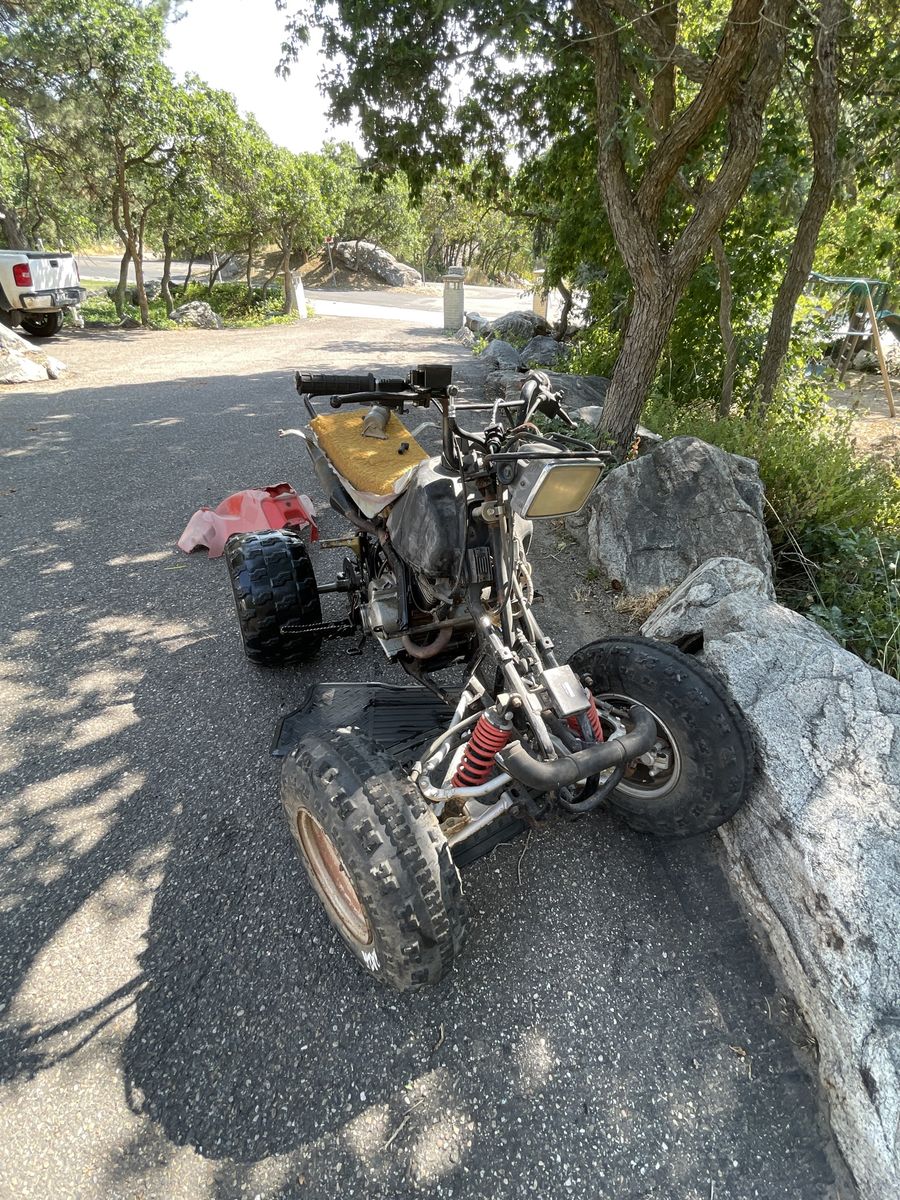 1985 Suzuki quad