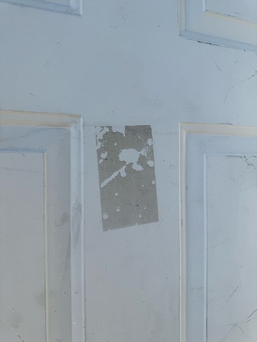 Main image 19