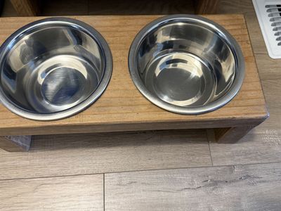 Small to Medium Raised Dog Feeder