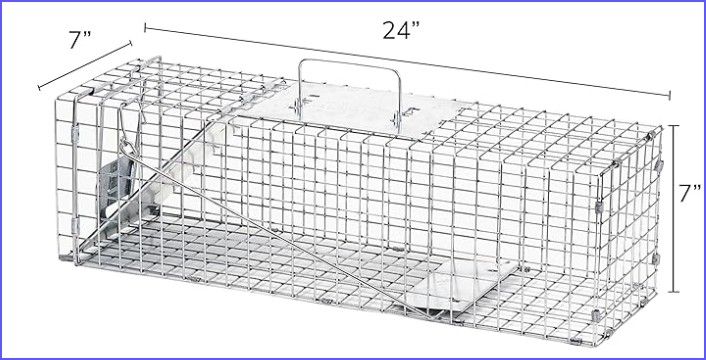 1-Door Humane Catch and Release Animal Trap for Rabbit, Skunk, Mink, and Squirrel