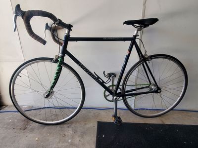 Windsor Mens Med-Large Road Bike or Fixie Option