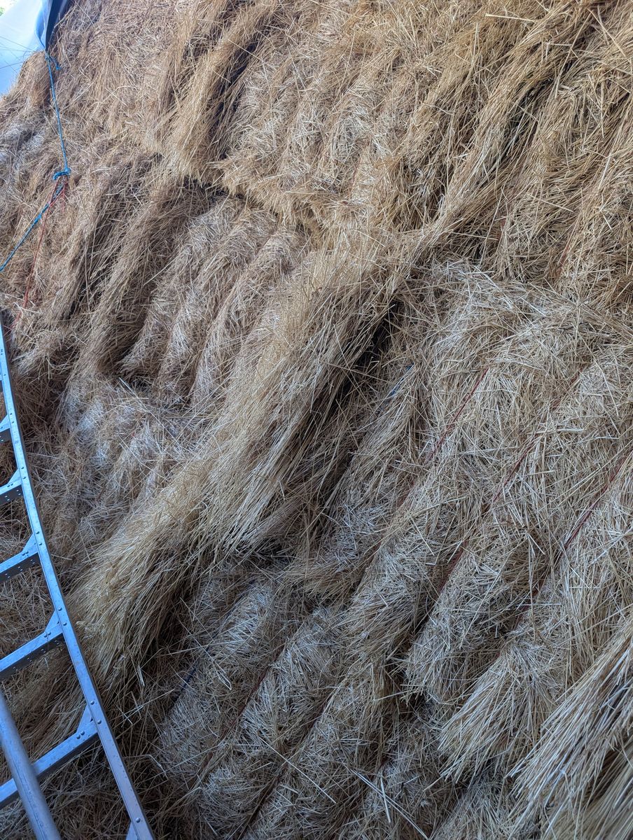 Grass Hay 3x4