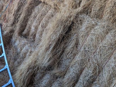 Grass Hay 3x4
