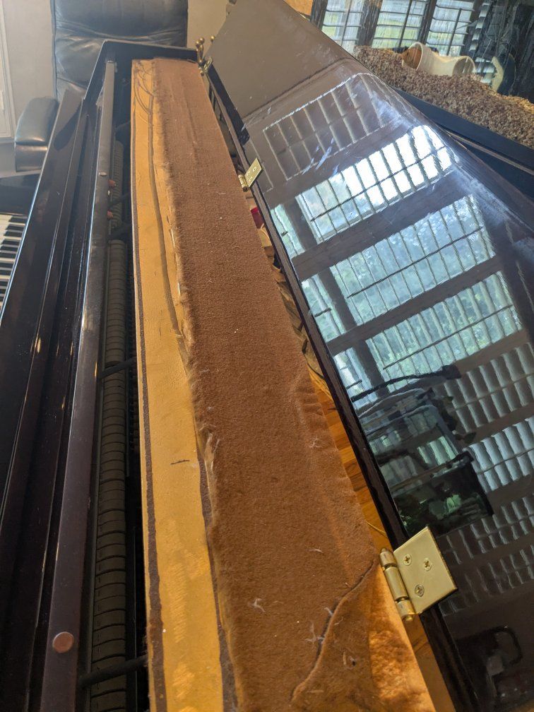 Main image 7