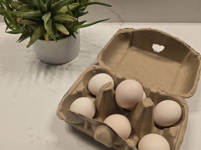 Kikiriki Hatching Eggs