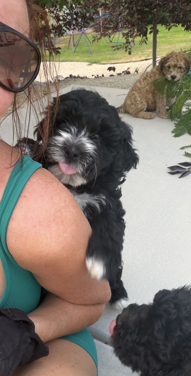 Main image 10