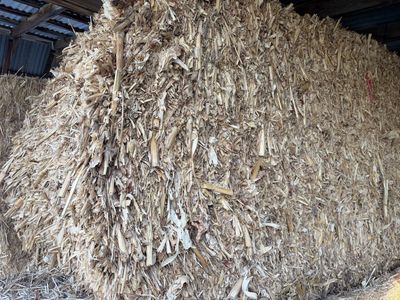 4x4x8 Corn Stalk Bales