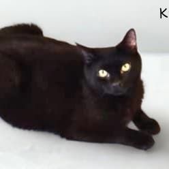 Hello my name is Kaia