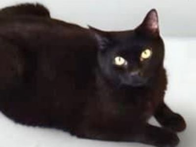 Hello my name is Kaia