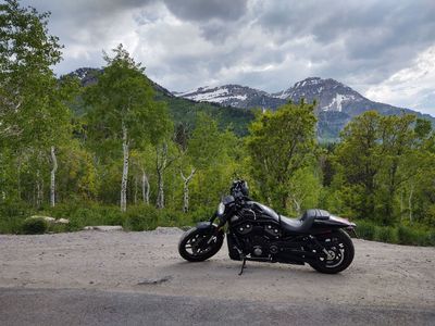2015 Harley VRSCDX V-Rod Night Rod
