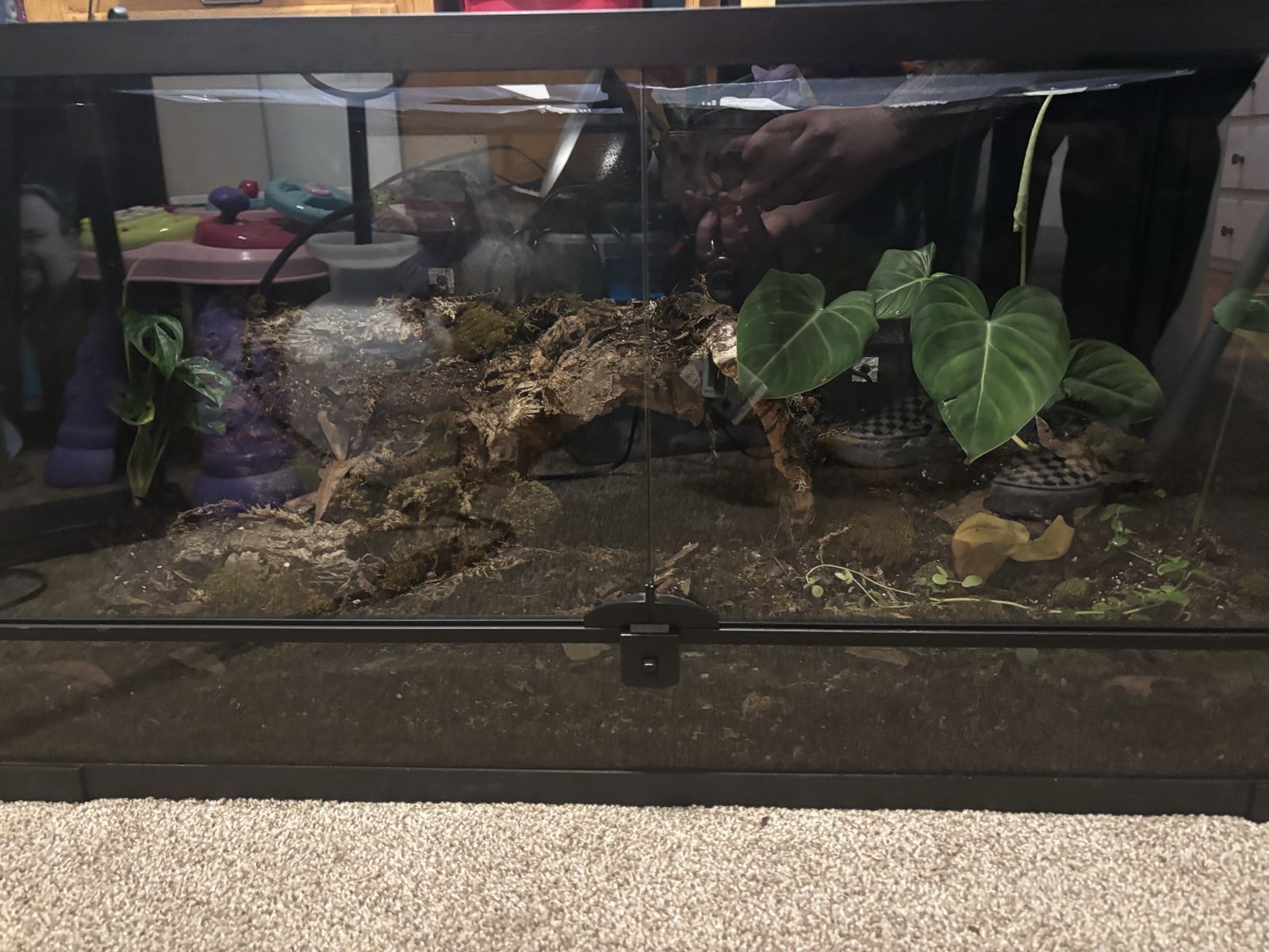 Terrarium/vivarium