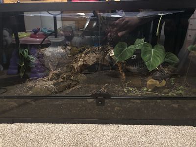 Terrarium/vivarium