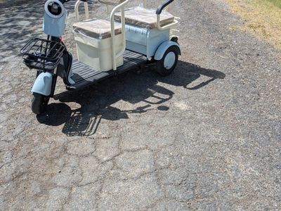 IRGC40 High-End Mini Golf Cart, Electric 2-Person Scooter, Light Blue, Foldable