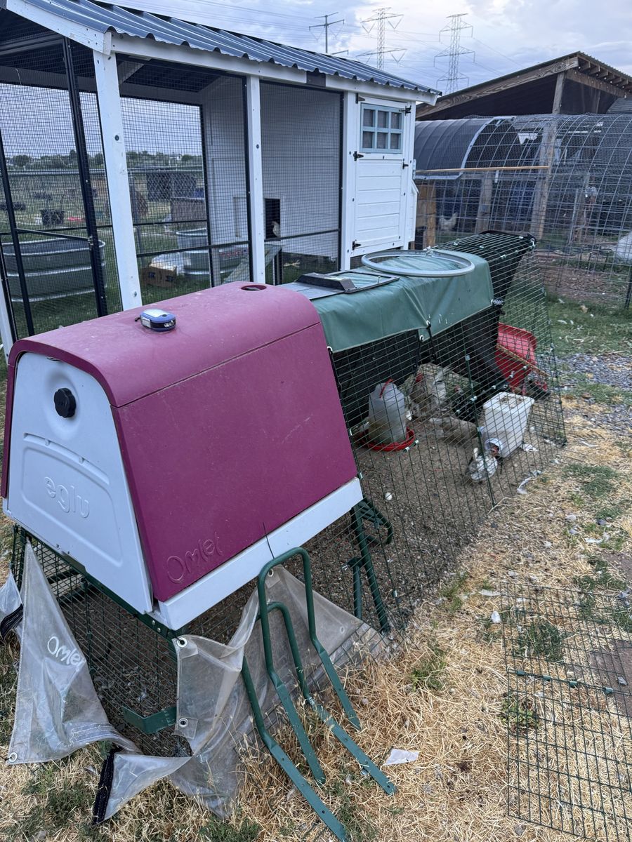Omlet Eglu go up Chicken Coop with 9ft run