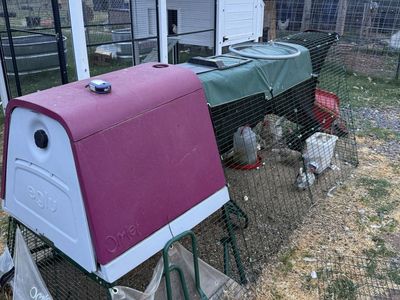 Omlet Eglu go up Chicken Coop with 9ft run