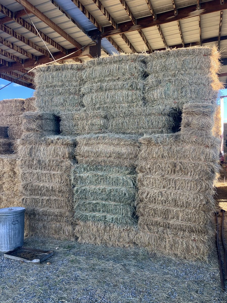 Grass hay for sale