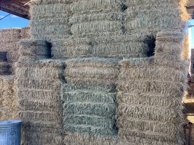 Grass hay for sale