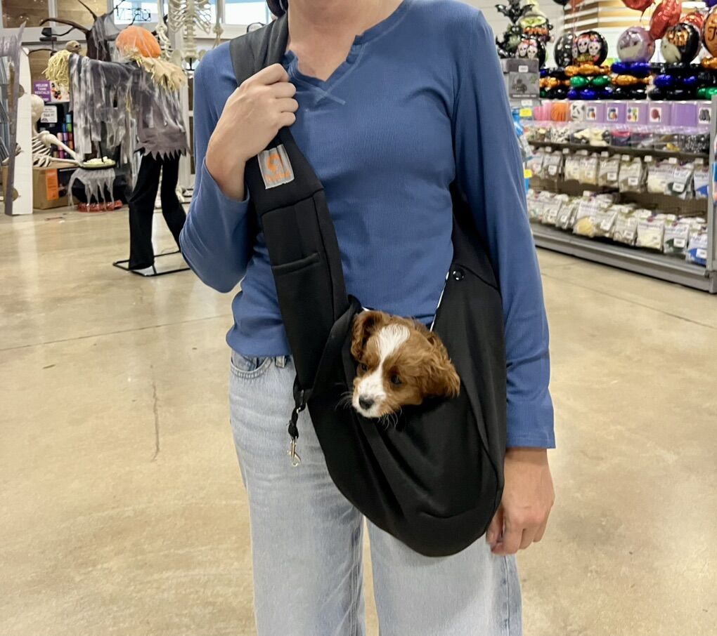 Puppy Sling Carrier