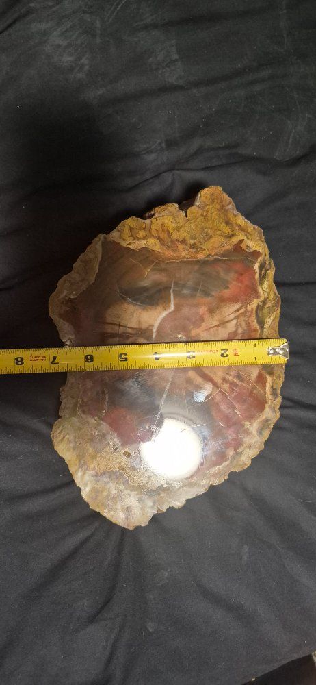Main image 6