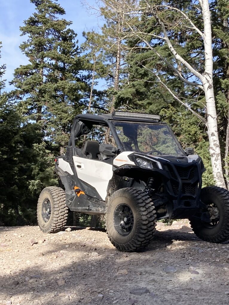 2020 Maverick Sport 1000