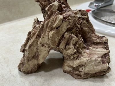 Dragon stone fish aquarium decor