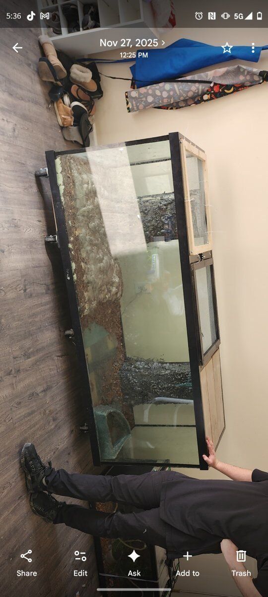 large reptile snake lizard tank enclosure plants