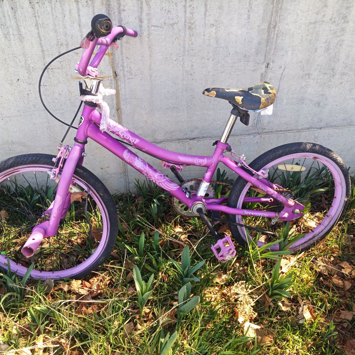 Free girls bike