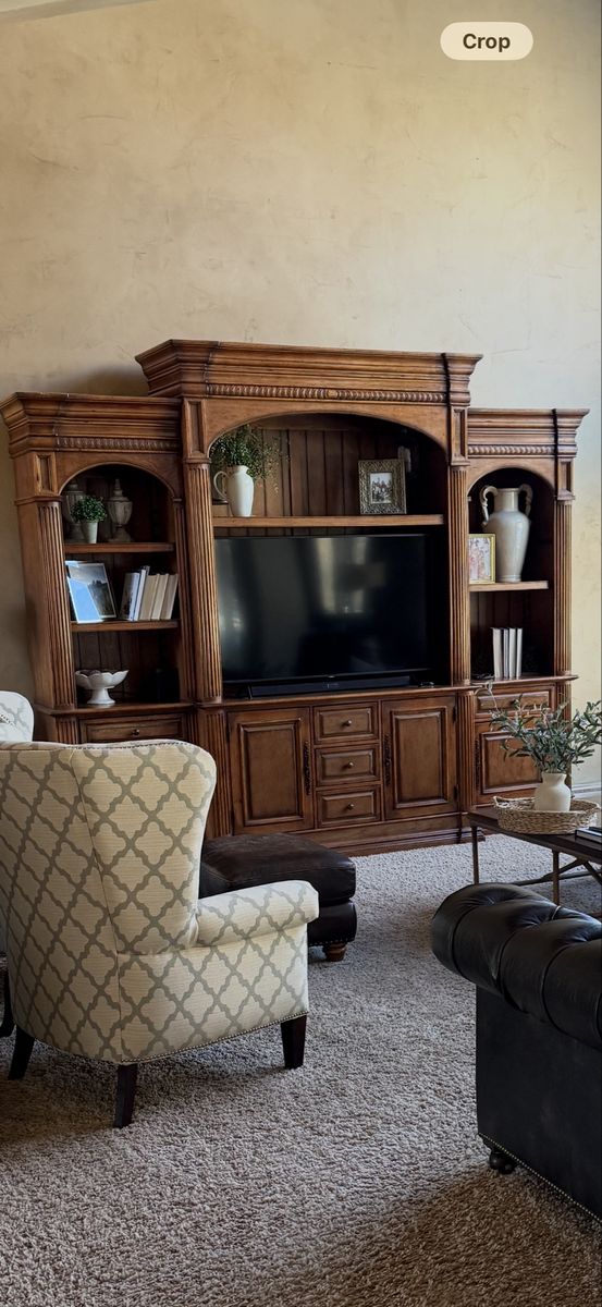 Entertainment Center  TV